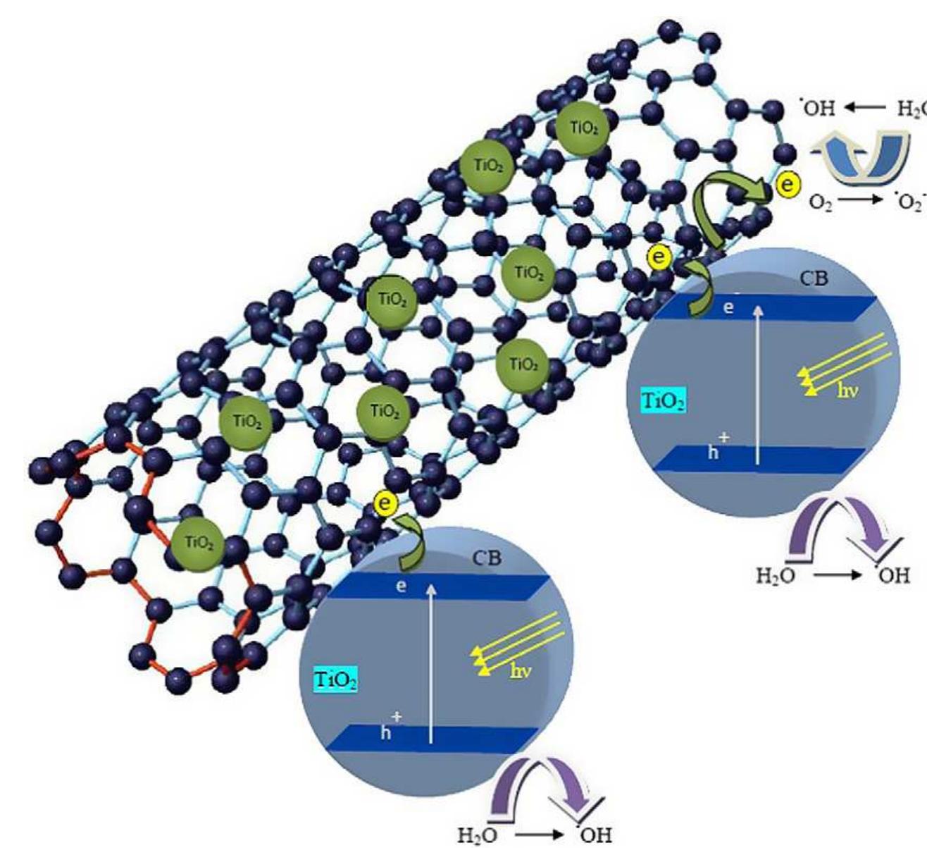 The schematic mechanism illustration of photocatalytic