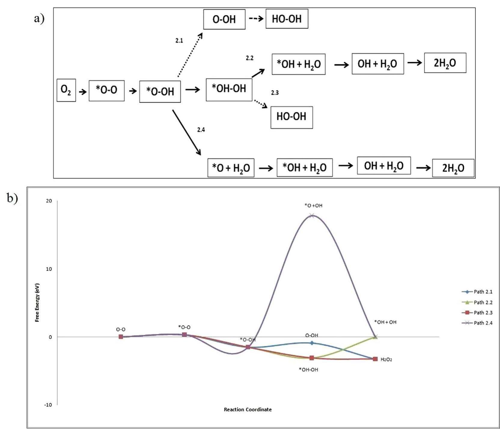 a) the reaction paths of oxygen reduction reaction. the