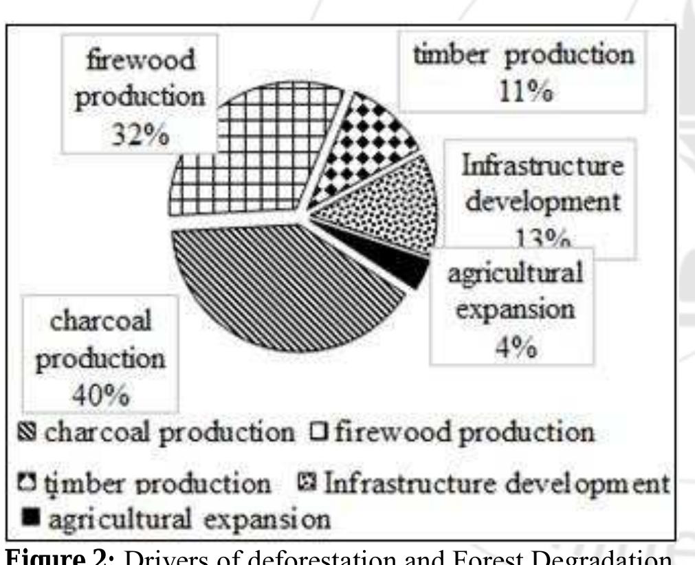 (PDF) Drivers of Deforestation and Forest Degradation in Dzalanyama ...