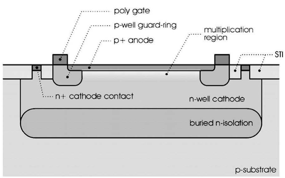 ‘ig. 1. spad cross-section: p+ anode within n-well cathode