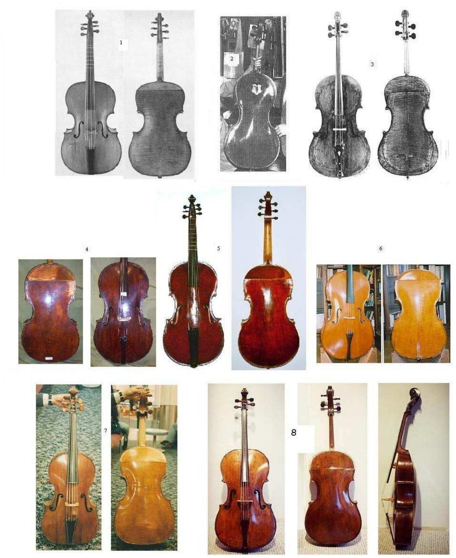 (PDF) The Division Viol—an overview