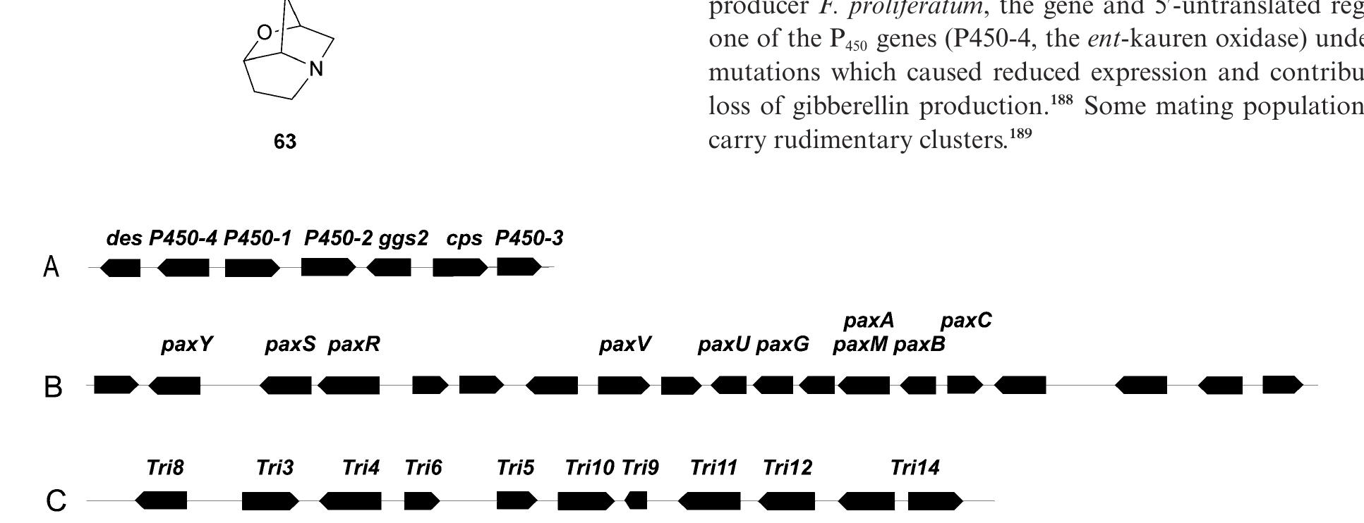 Schematic of selected fungal terpene biosynthetic gene