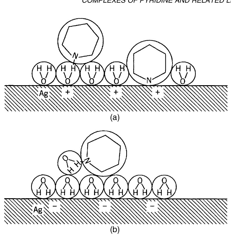 PDF) Nakamoto B IR Raman Spectra of Coordination Compounds
