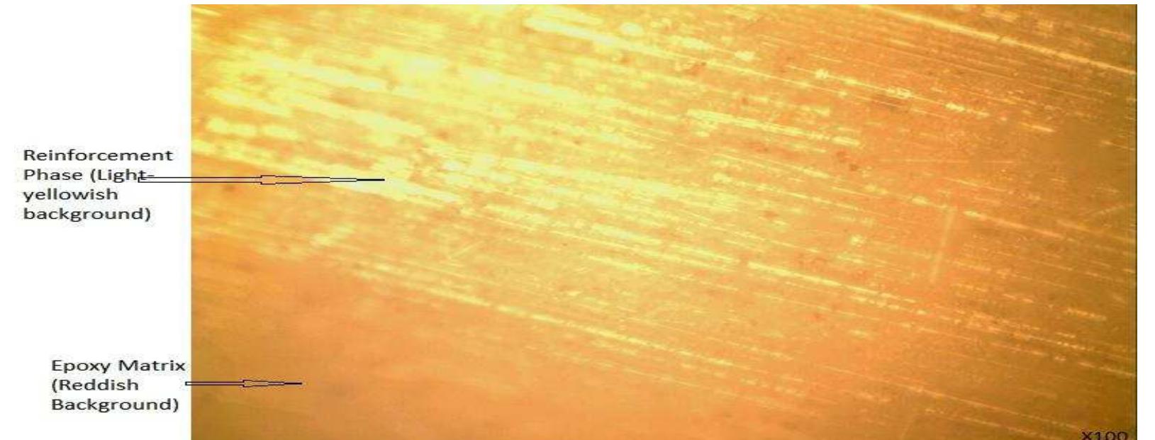 Plate 2: micrograph showing the reinforcement phase with