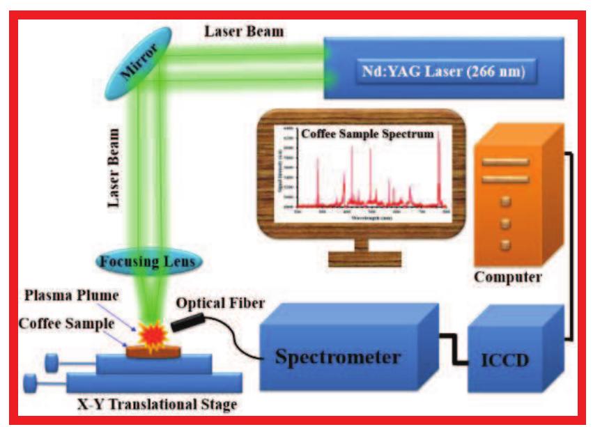 Schematic diagram of the libs experimental setup used for