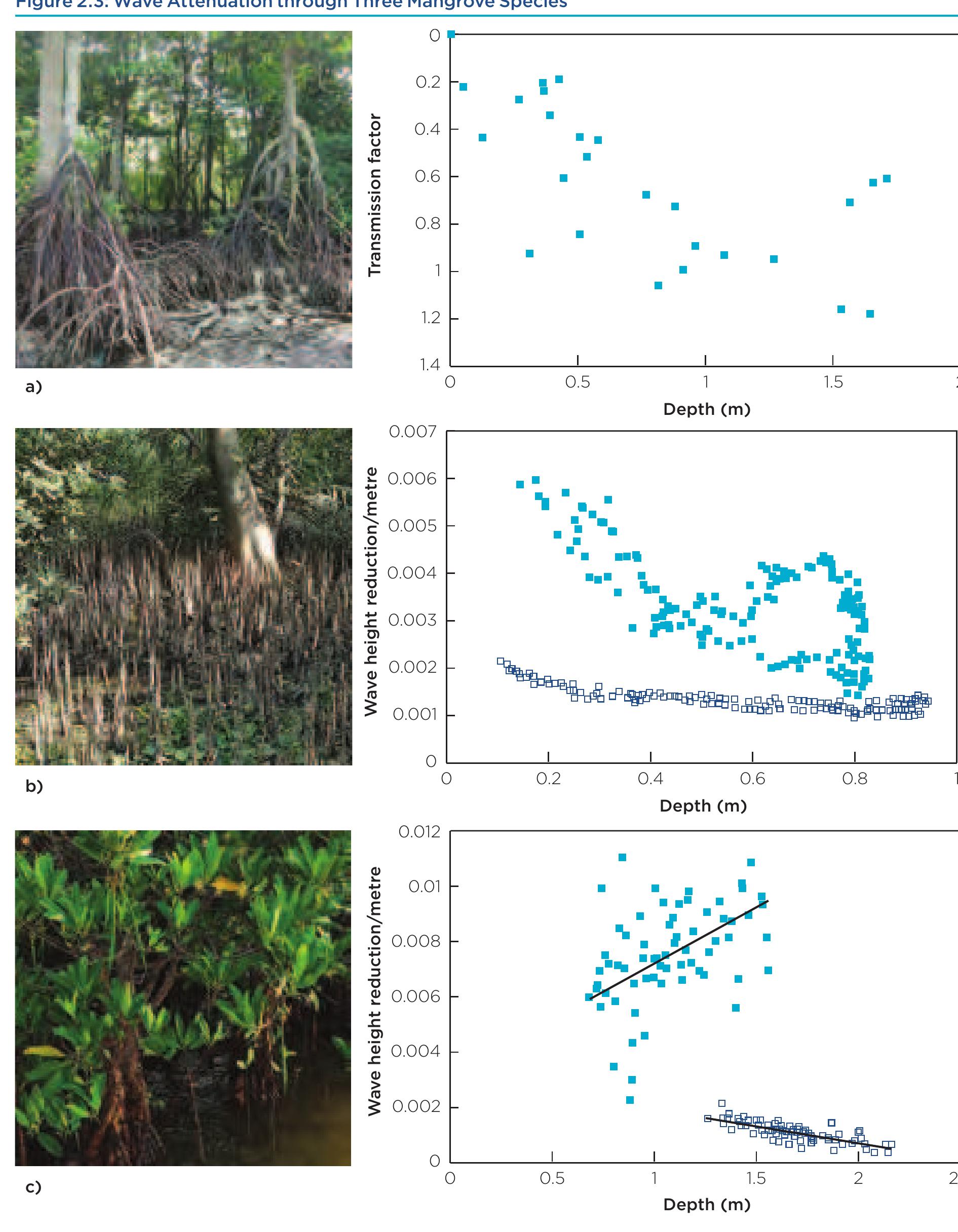 8: diagram showing how mangrove soil surfaces can rise with