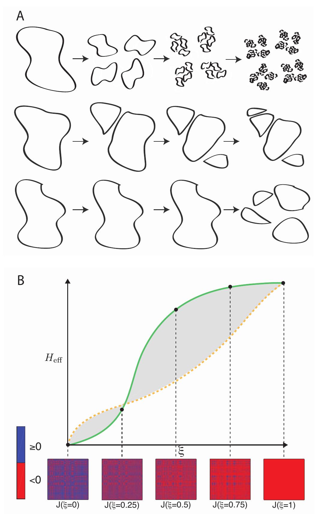 Figure 1 - Taxonomies of networks from community structure