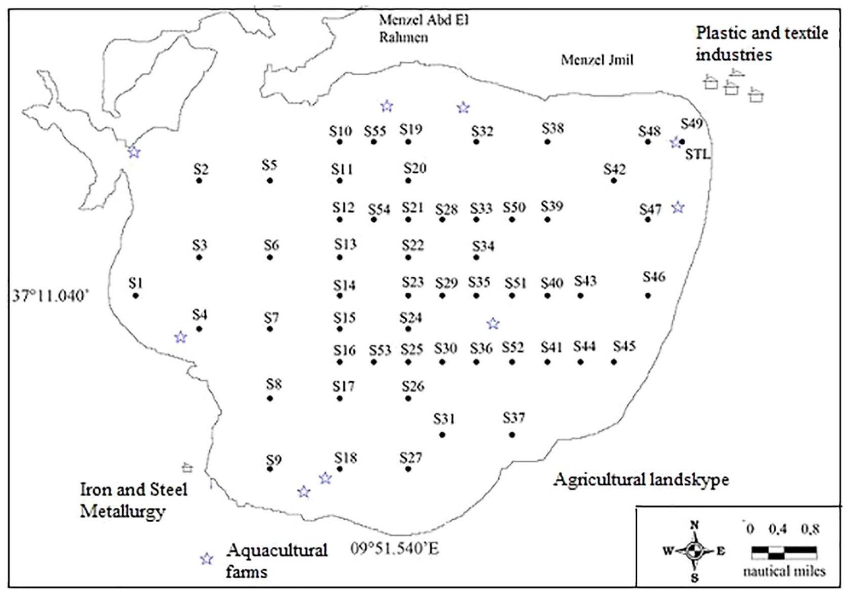 Fig. 1. The Bizerte Lagoon sampling stations adopted within this study.  Pesticide analysis was performed through HPLC-MS/MS using an Al- liance HPLC system (Waters Series 2695). Analytic separation was achieved with a Kinetex C18 analytical column (100 mm « 4.6 I.D + 260 A, Phenomenex). Acetonitrile (A) and ultrapure water (B), both with 0.05% formic acid, were used as mobile phases at the constant flow rate of 0.4 ml-min~'. The Linear gradient was started at 40% for 0.2 min, ramped to 80% for 8 min, then to 100% for 1 min and finally back to the initial conditions for 2 min. A triple quadrupole mass spec- trometer (Micromass Quatro microTM, Waters) equipped with an electrospray ionization source (ESI) was used as the detector device. The spectrometer operated in positive ESI mode under the following conditions: capillary voltage (3.5 kV), source temperature (120 °C), desolvation temperature (300 °C), drying (600 1I/h), and nebulization gas (N2) flow (30 l/h). Argon was used as the collision gas. Acquisition for each compound was performed in the multiple reaction-monitoring mode (MRM). Two transitions were retained: one was used for the quantification aspect and the other was used for the confirmation aspect.  2.2.2.2. Butyltin compounds. The tin-containing compounds TriButyltin (TBT), DiButylin (DBT) and MonoButyltin (MBT) were analyzed using a gas chromatograph (Focus GC - Thermo Fisher Scientific®) coupled with an inductively-coupled plasma mass spectrometer (ICP-MS X Se- ries II-Thermo Fisher Scientific®). The butyltin compounds analysis steps included a gentle extraction to avoid Sn speciation modification, followed by a derivatization step and extraction in the organic phase (isooctane), as described in Carlier-Pinasseau et al. (1996). The certified 