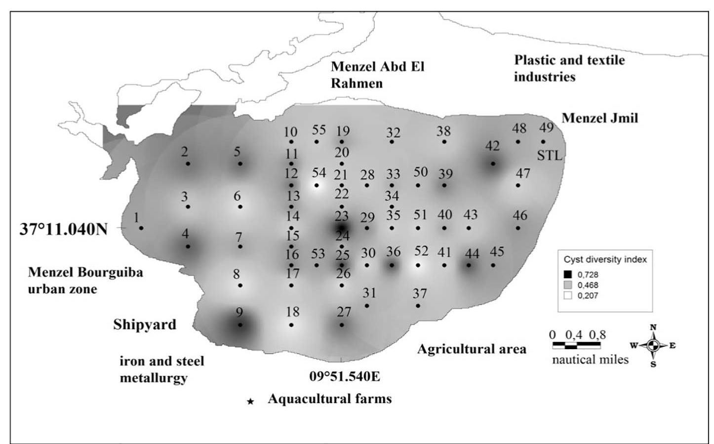 Industrial contamination within Bizerte lagoon benthic sediments was mainly represented by trace metals and TBT. The southern sectors of the lagoon were the main areas impacted by Hg (171-524 ppm), total butyltin (23.9-39.76 ng(Sn)-g~') and PAH (3042-9948 ng-g~') contamination (Fig. 3, Supplementary Tables 2 and 3). All the trace metals investigated in this study were recorded within all the lagoon sampling sites. Cd (0.10-0.6 ppm), Cu (8.63-36.62 ppm) and Zn (93- 408 ppm) levels detected in Bizerte lagoon benthic sediments (Supple- mentary Table 2) are unlikely to cause adverse biological effects. Re- corded values for Cd and Zn were always below the ERL, at 1.2 ppm and 410 ppm, respectively. Conversely, high concentrations for Cu were registered and were above the ERL value of 34. Mercury contami- nation was lower than the ERL at most sampling stations along the northern side of the lagoon, whereas high values exceeding the ERL (150 ppm) were recorded (175.68 and 524 ppm) within the southern part. Four contaminants (As, Cr, Pb, Ni) were observed at most sampling  The total PAHs measure comprises the sum concentration of the 16 parent PAHs. PAHs contaminants were present at 45% of the sampled stations within Bizerte lagoon and were mainly localized along the southern part of the lagoon. Stations 2, 5, 8, 10, 13 and 47 were slightly 