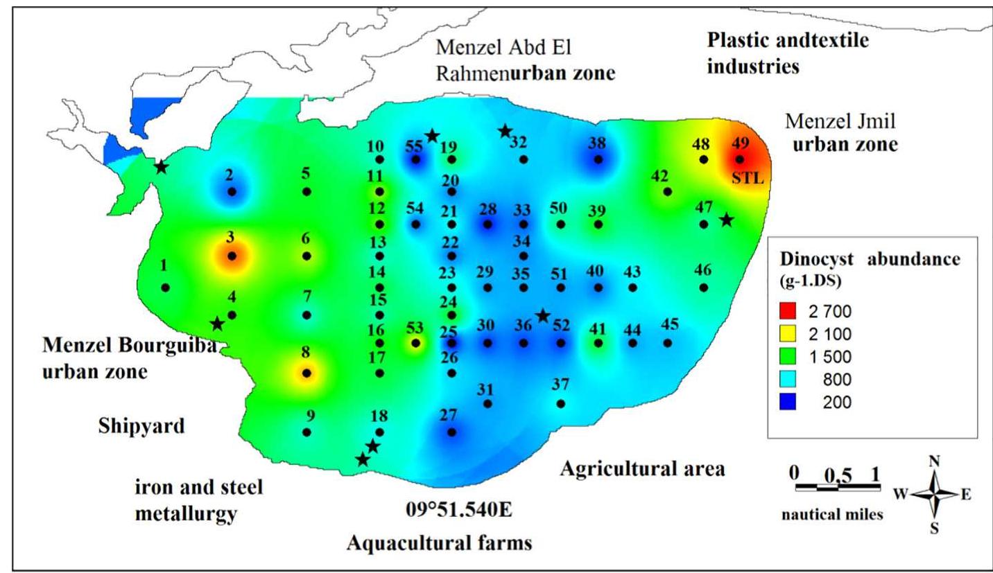Fig. 4. Dinocyst (cysts-g~! dry sediment) distribution in the sediment of Bizerte lagoon. 