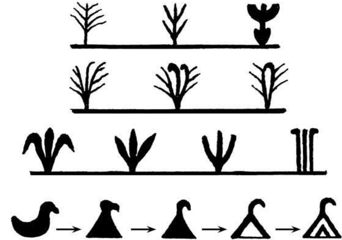 Figure 1.5 Progressive geometrisation of four types of iconic signs used to decorate Berber pottery’”” 