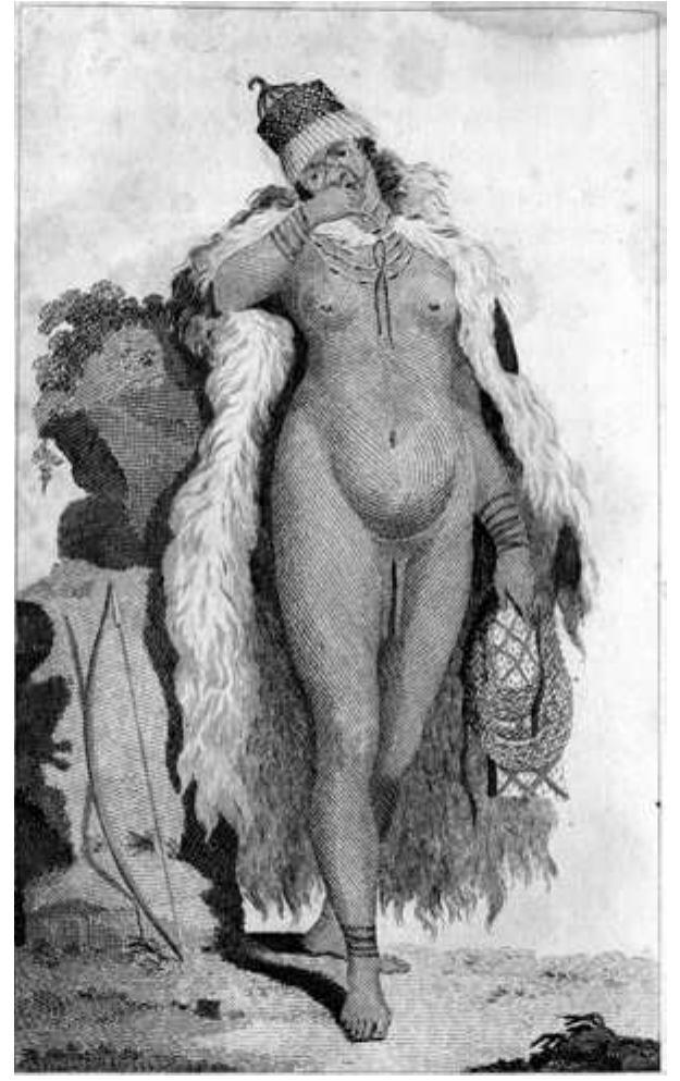 Figure 8.4 ‘A Hottentot Woman’, plate from Francois le Vaillant, Travels into the Interior Parts of Africa, by the way of the Cape of Good Hope: in the Years 1780, 81, 82, 83, 84 and 85 (London: G.G,J. & J. Robinson, 1790)  women had elongated nymphae, the so-called ‘Hottentot apron’, whict they would willingly display to the curious for a small gift.2* Proving, o1 disproving, the existence of such an ‘apron’ became an essential part 0 many subsequent travellers’ accounts of Khoikhoi women, the guarantee as it were, of eyewitness veracity and a means by which prurience coulc pose as scientific observation.” This almost obligatory inspectior assumed absurd proportions in Le Vaillant’s account, and illustration, of female Hottentot in his Voyage of 1790. 