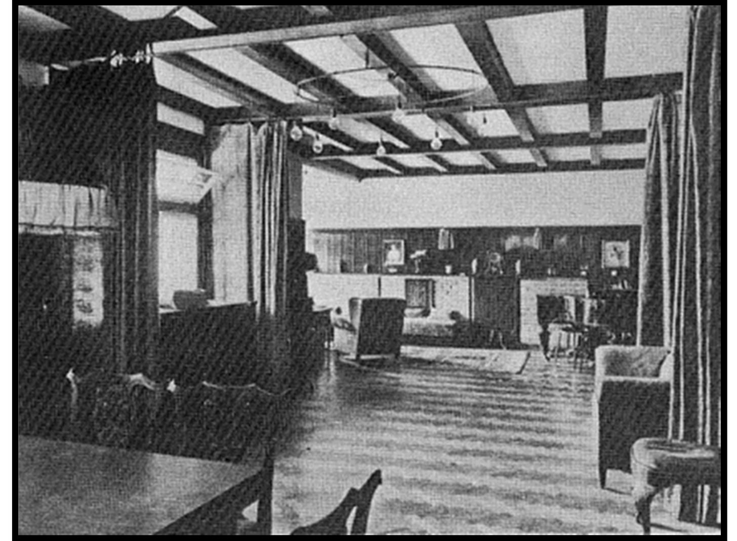 Sophie – Mendocino Coast Humane Society, image size:1456x1069