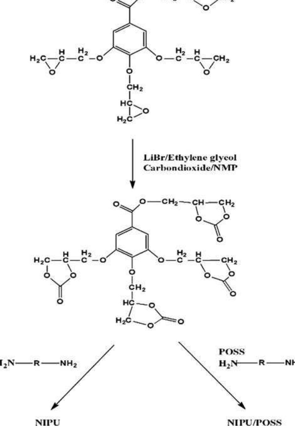 Polyurethane Notes Synthesis of gallic acid-based nonisocyanate poly- urethane