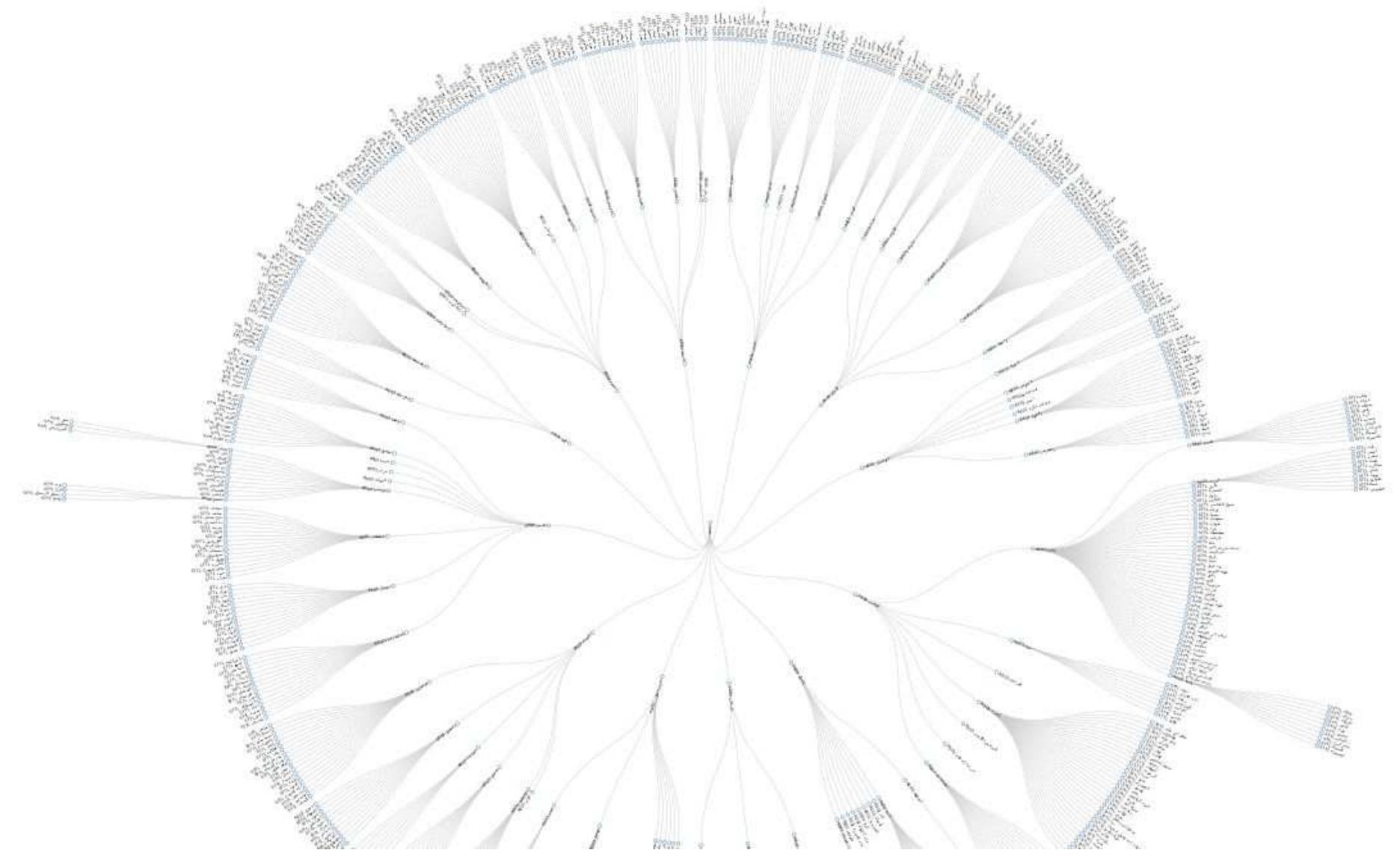Hierarchical divisions data, visualized by tree structure