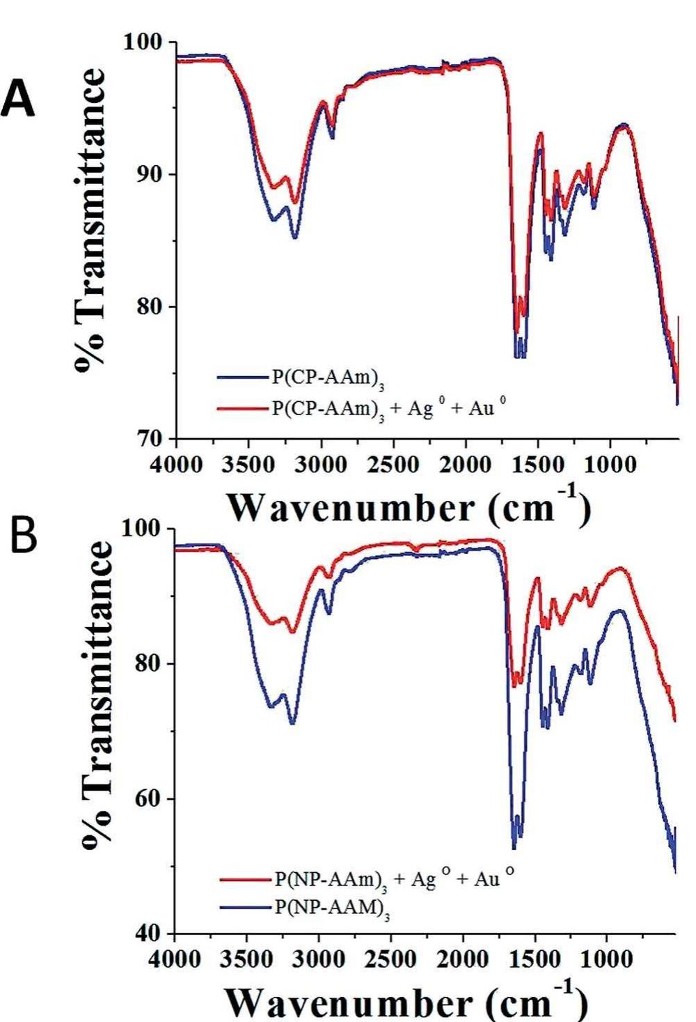 Fig.3 : FTIR spectra of (A) pure P(CP—AAm)z hydrogel, P(>CP—AAm)z + Ag® + Au® hydrogel; (B) pure P(NP—AAm)3 hydrogel, P(NP-AAm); + Ag° + Au® hydrogel.  Fig. 2. SEM images of (A) (a) pure P(CP—AAm)z hydrogel, (b) P(CP—AAm)z + Ag° + Au° hydrogel; (B) (a) pure P(NP—AAm)z hydrogel, (b) P(NP- AAm)3 + Ag° + Au® hydrogel and SEM-EDS images of (A) (c) P(CP—AAm)z + Ag® + Au° hydrogel: (B) (c) P(NP—AAm)3 + Ag° + Au® hydrogel. 