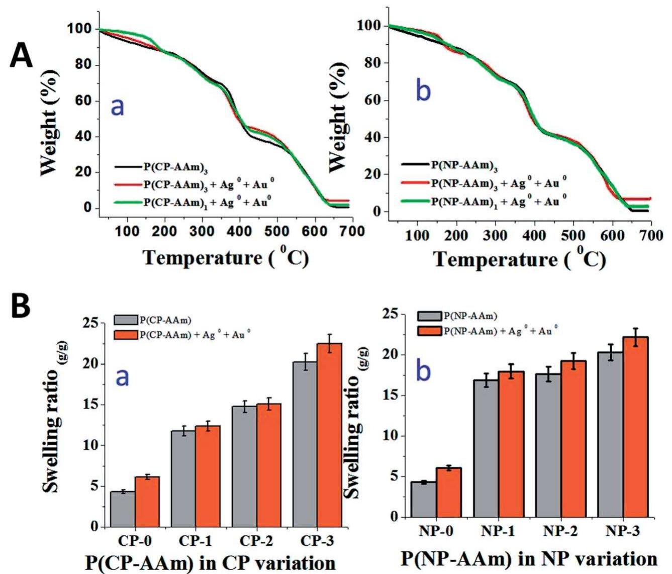 Fig. 4 (A) Thermogravimetric analysis of (a) pure P(CP—AAm)z hydrogel, P(CP—AAm)z + Ag® + Au® hydrogel and P(CP—AAm), + Ag° + Au hydrogel: (b) pure P(NP—AAm)3 hydrogel, P(NP—AAm)3 + Ag® + Au® hydrogel and P(NP—AAm), + Ag° + Au° hydrogel; (B) swelling ratio of pur and core-shell nanocomposite hydrogels of (a) P(>CP—AAm), (b) P(NP—AAm). 
