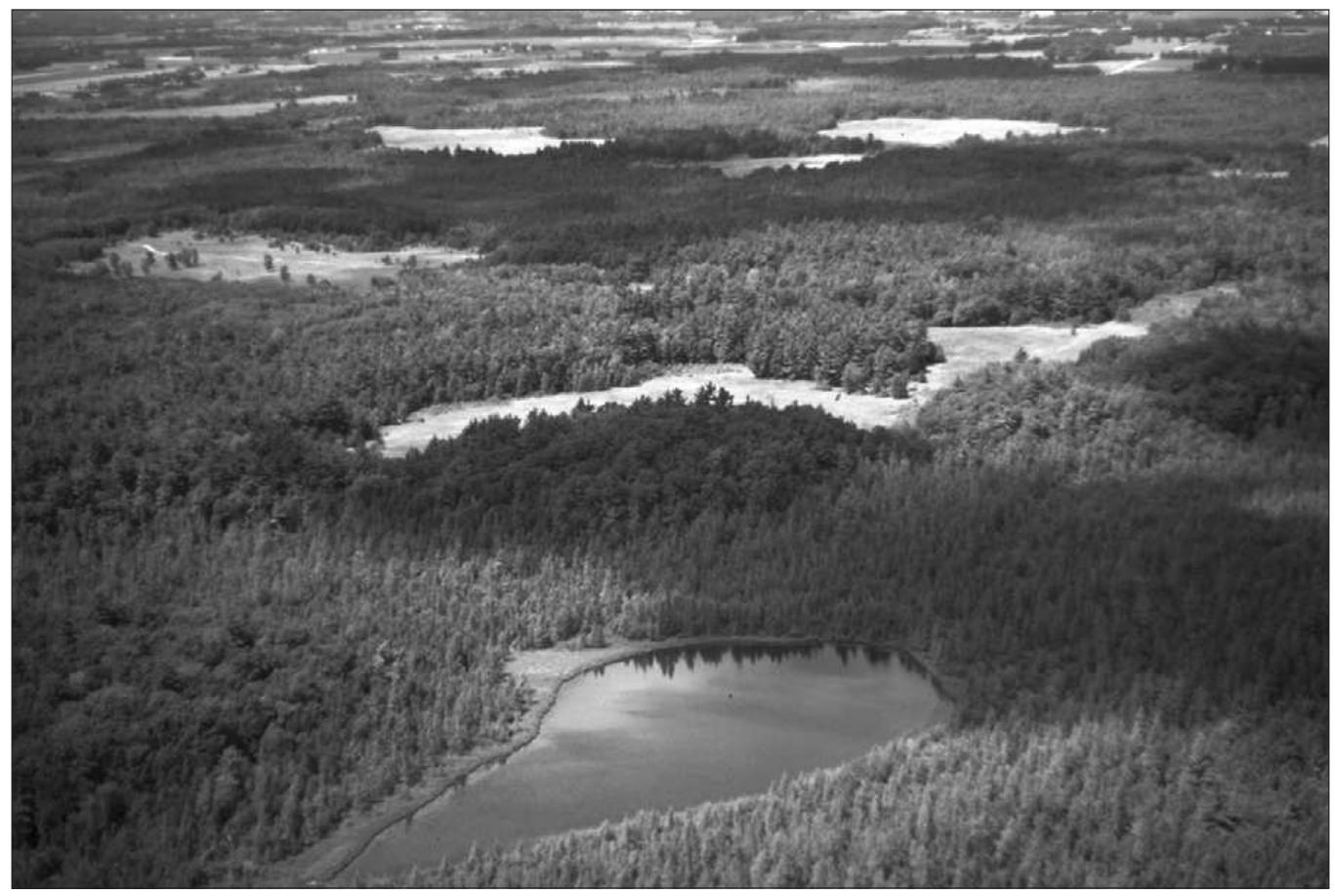 pdf-the-tallgrass-prairie-raymond-lindeman-a-minnesota-bog-lake