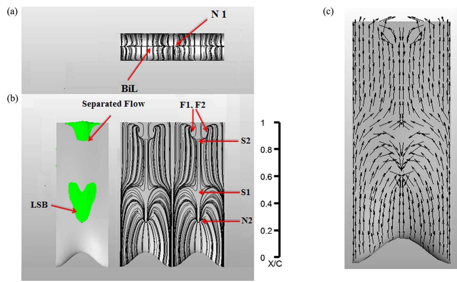 Vortex Detachment (PDF) The formation mechanism and impact of streamwise vortices on NACA ...