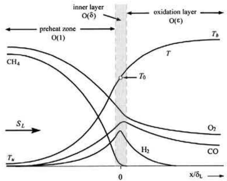 Structure of a premixed methane-air flame according to