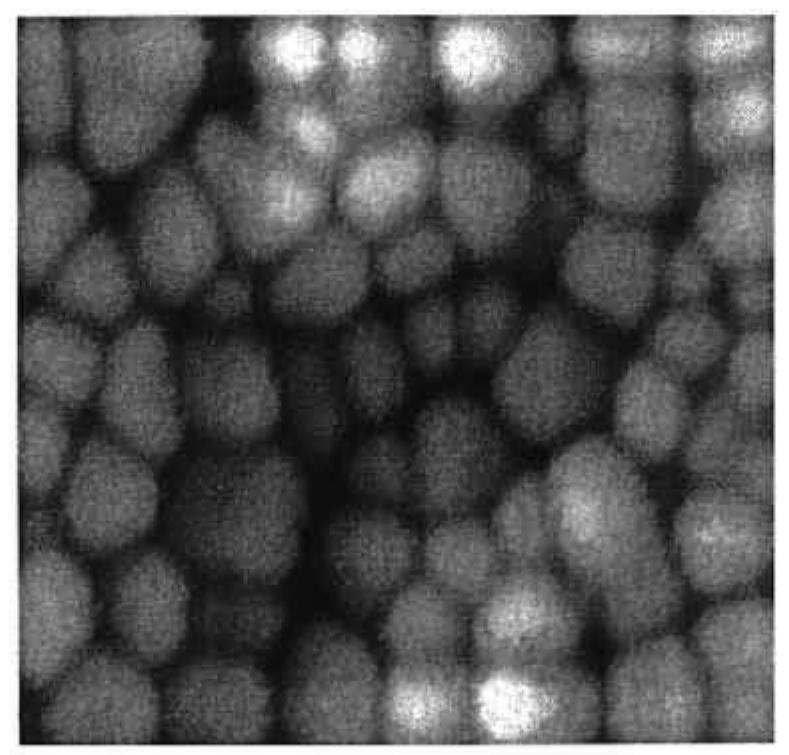 Structure of a premixed methane-air flame according to
