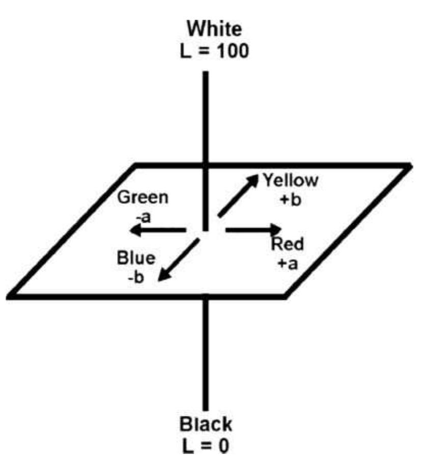 Lab Color Full Form Diagram depicting three dimensional l, a and b color space.