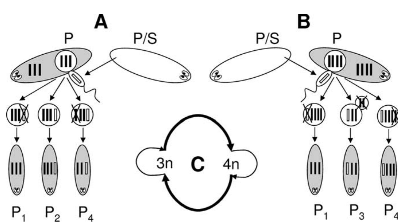 Figure 1 - from Archeological and Historical Resources