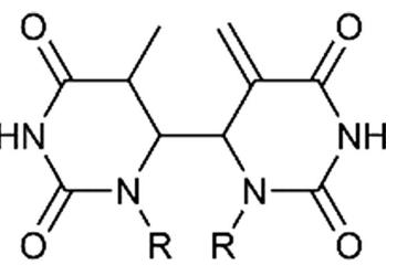 Fig. 8 Structure of themethylmethylidene-hexahydropyrimidine minimum in the So surface of the thymine dimer. 
