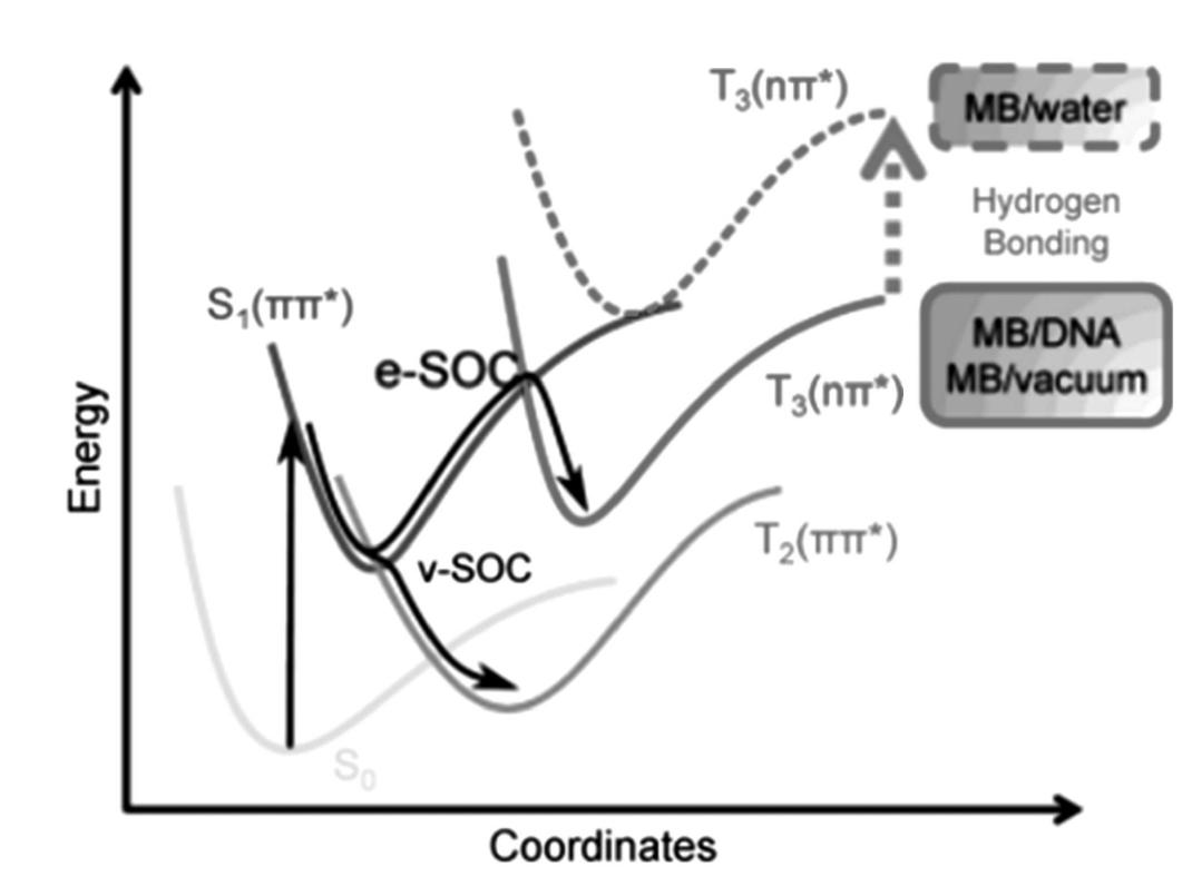 Fig.12 Schematic comparison between the population of the triplet states of methylene blue (MB) both in water and at DNA environment. Water solvation destabilizes the Tz(nx*) state. [Reprinted from Angew. Chem., Int. Ed., 2015, 54, 4375, with permission of John Wiley and Sons. © 2015 WILEY-VCH Verlag GmbH & Co. KGaA, Weinheim] 