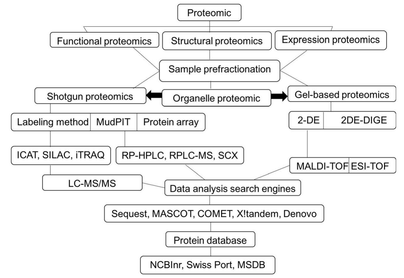 (PDF) Proteomic-based biomarker discovery for development of next ...