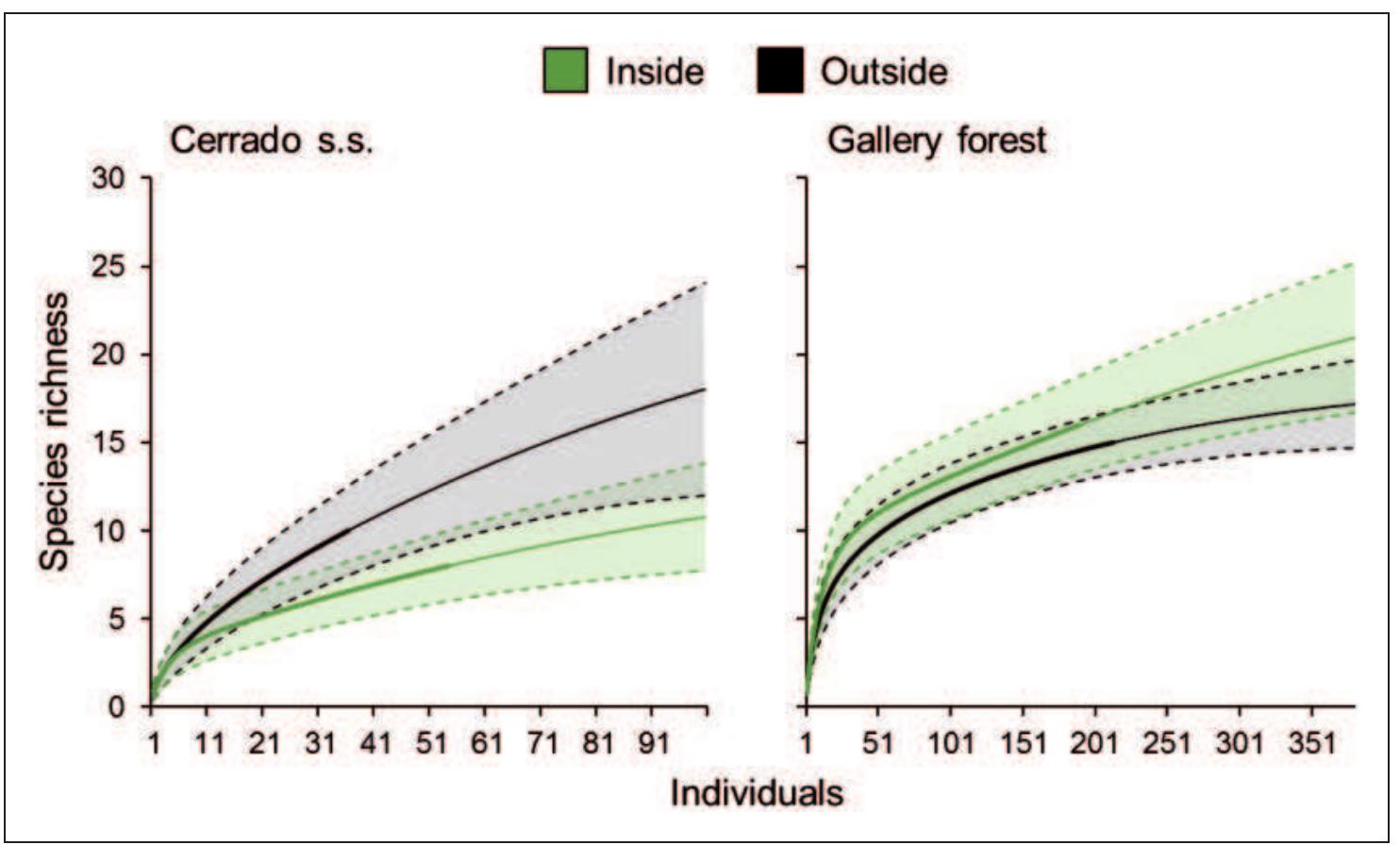 Figure 3. Individual-based rarefaction curves comparing bat richness inside (green lines) and outside (black lines) protected areas (PAs) in cerrado sensu stricto and gallery forests of the Brazilian savanna (Cerrado) located in Brasilia city. Each curve of each vegetation type was generated grouping all captured bats from three sites located inside and three outside PAs located in three different PAs: Brasilia National Park, Ecological Reserve of the Brazilian Institute of Geography, and Statistics and Ecological Station of Aguas Emendadas. Thick lines indicate the number of sampled individuals. Thin lines indicate the richness extrapolating 3 times the abundance of the smallest sample. Dashed lines show the 95% confidence interval. 