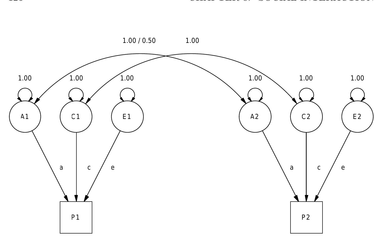 1: basic path diagram for univariate twin data.