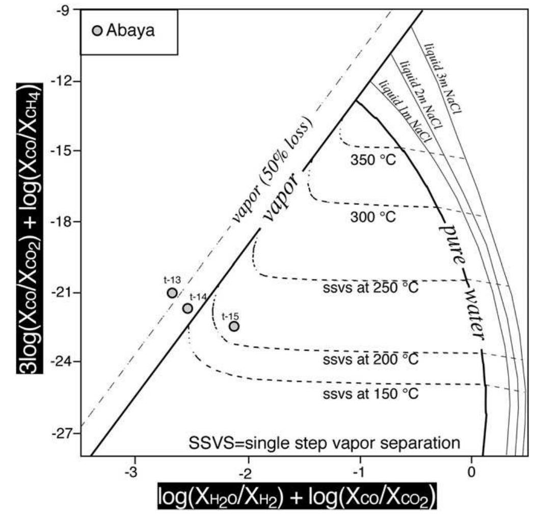 Gas ratio diagram (chiodini and marini, 1998) of