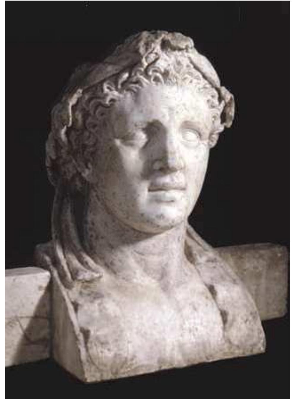 Fig. 13.8: Head of Hercules on herm base (cat. no. 36). Photo: SAP  found between the third and fourth bases but with no specific base associated with it. It is impossible to know what the missing sculptures represented, but given the subjects that survive, they probably were statues of similar mythical and divine subjects. These sculptures along the east side of the pool illustrate another of the common principles of design—architectural alignment. Each statue stood in front of a tree as if to echo the position of a corresponding column of the portico on the opposite side of the pool (see fig. 9.9).° TH #¢f. sa ee ee os  1 Fo, so gg ge 22m en | 