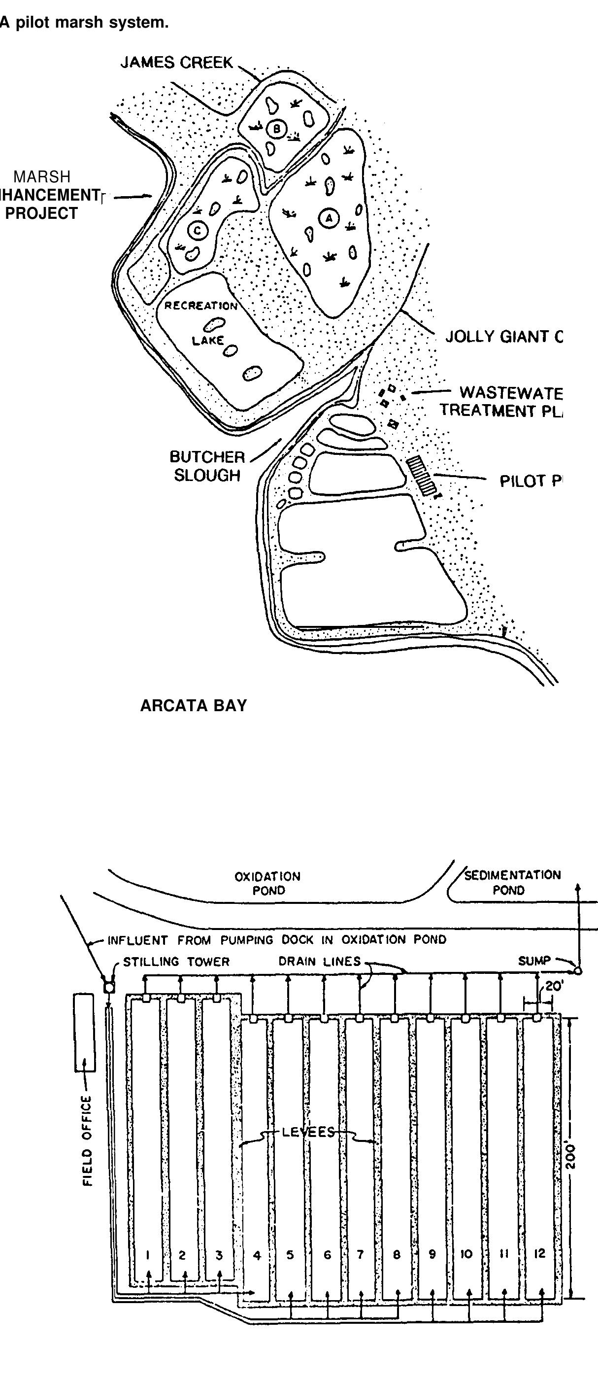 Figure 9 - Design Manual Constructed Wetlands and Aquatic