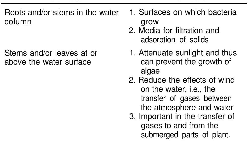 Wetlands are those areas that are inundated or saturated by
