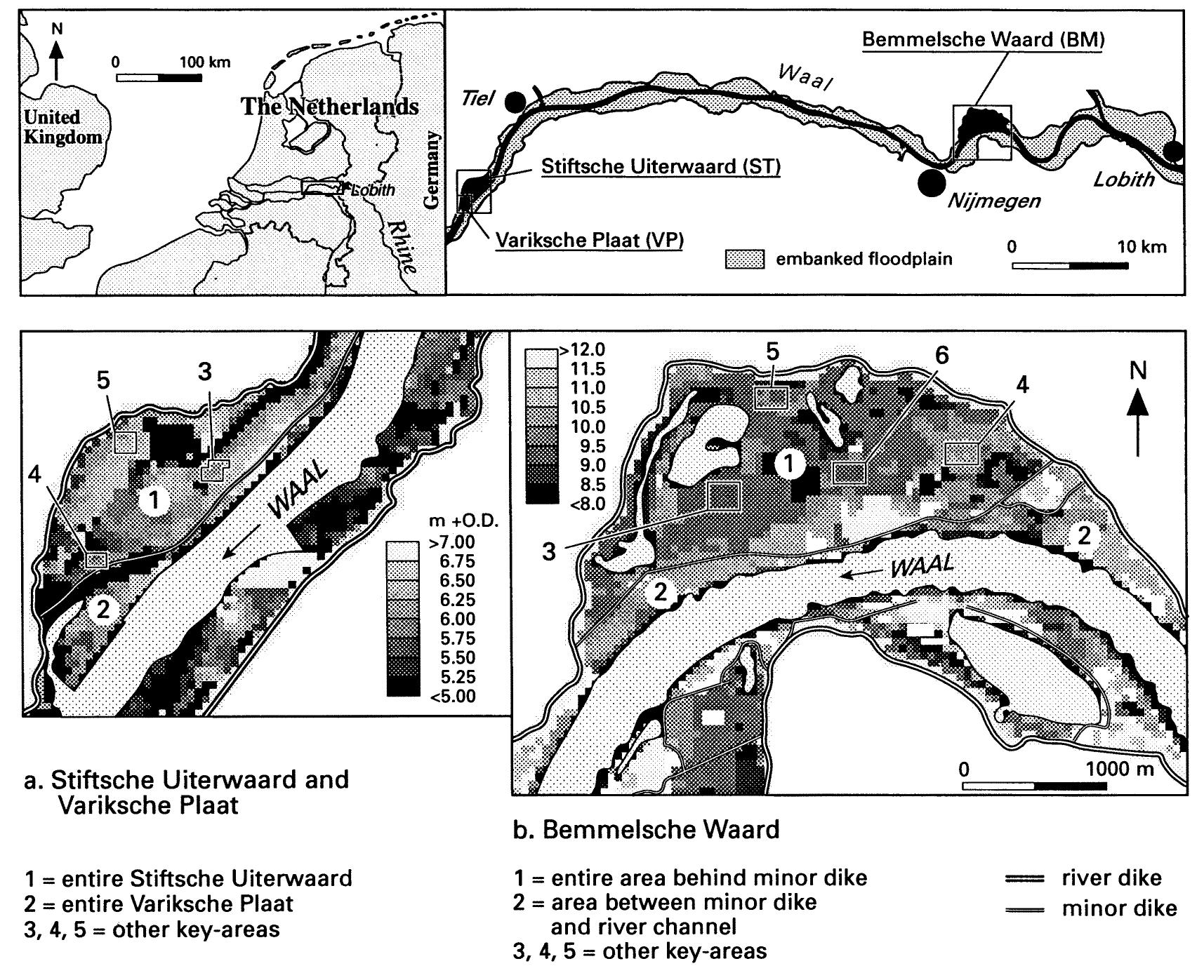(PDF) Modelling spatial patterns of overbank sedimentation on embanked ...