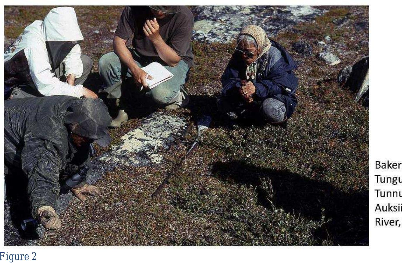 (PDF) Covering Bones: The Archaeology of Respect on the Kazan River ...
