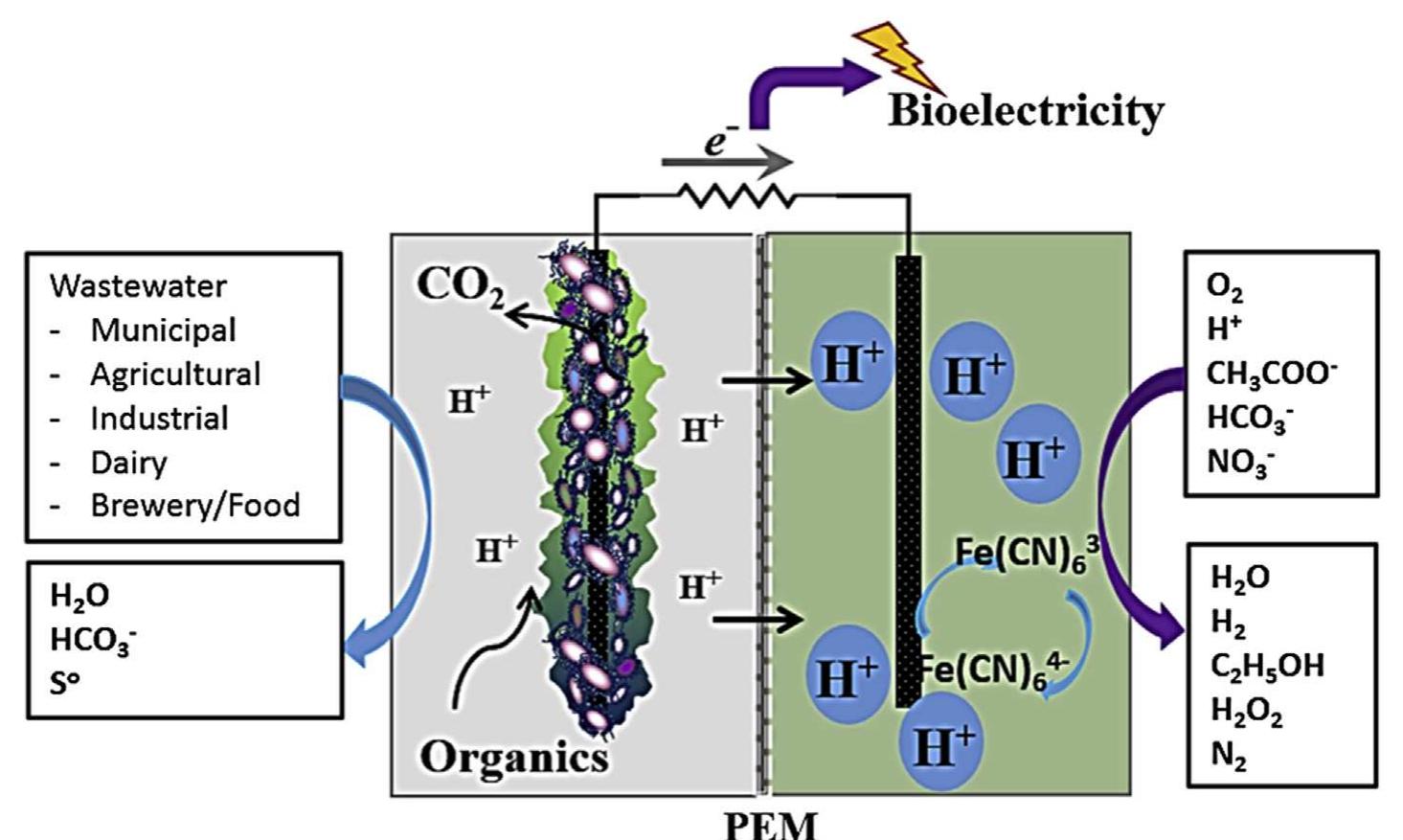 (PDF) Wastewater treatment in microbial fuel cells - an overview