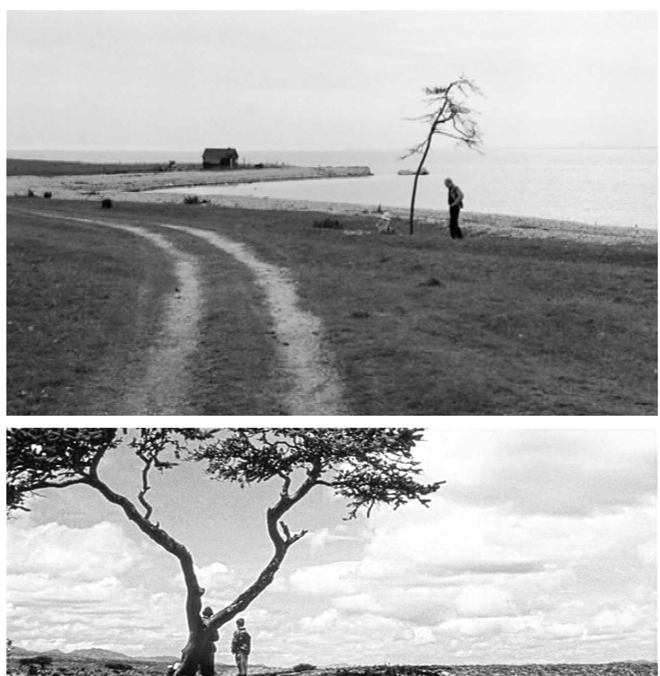 Similar visual compositions in Japon and The Sacrifice 