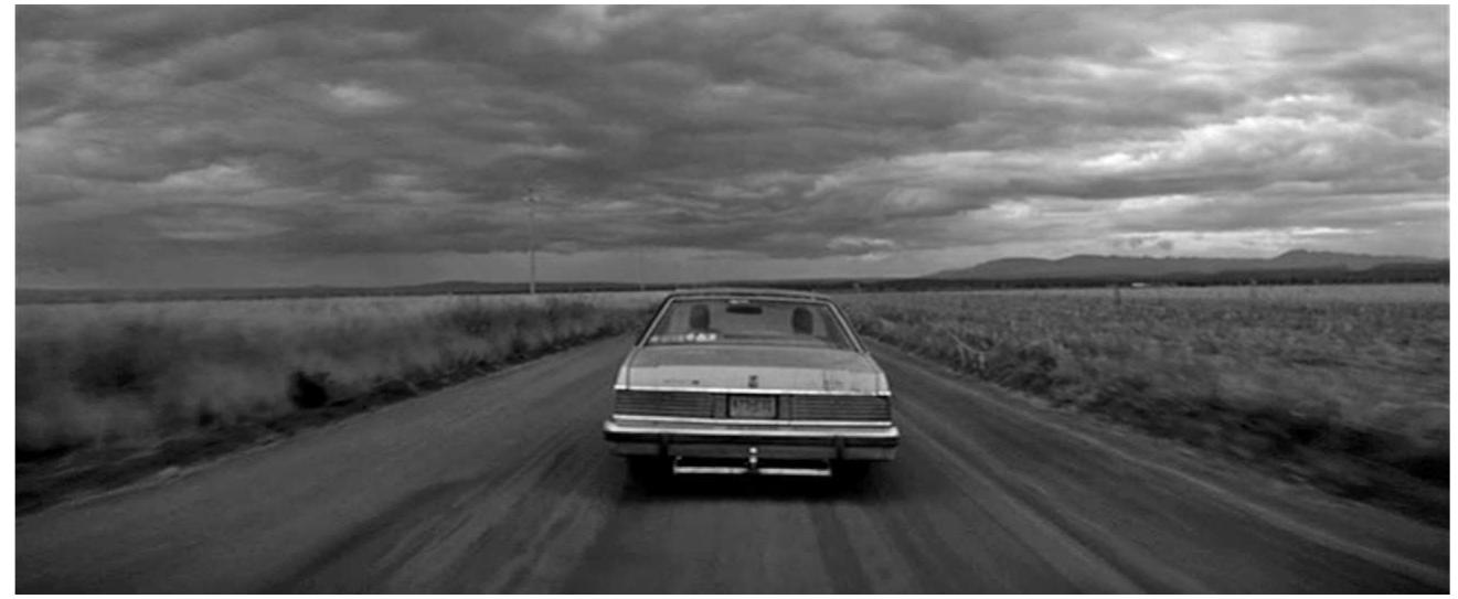 The weight of the sky: metaphysical overtones in Silent Light  style, with a minimal crew of 11 people.  In contrast to Japon and Batile in Heaven, which feature gran- diose religious scores (often to surrealist effect, as will be ana- lysed later), Szlent Light opts for diegetic sound only. In fact, as we have seen, the film was shot with direct sound, which emphasizes the physicality of noises normally edited out in the conventional narrative film, such as that of the kiss between the non-professionals Fehr and Pankratz, and a symphony of animal sounds, such as crickets, cicadas and lowing cattle. As far as its cinematography is concerned, the film mostly presents overex- tended, stationary and establishing shots, which, coupled with their widescreen ratio, highlight the flatness of landscapes as  their widescreen ratio, highlight the flatness of landscapes as 