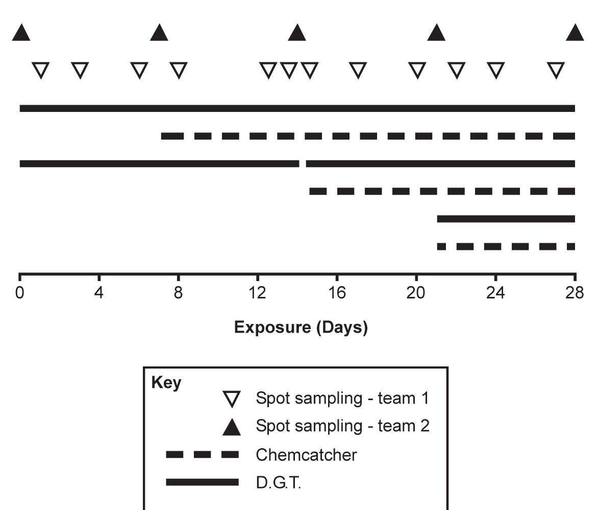 Spot Check Sampling 1.5 schematic diagram showing the pattern of deployment of