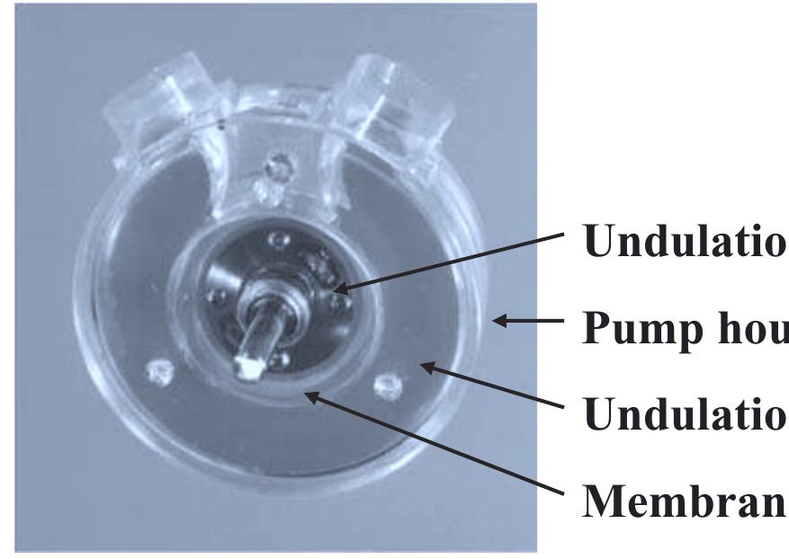 Cross section of undulation pump ventricular assist device