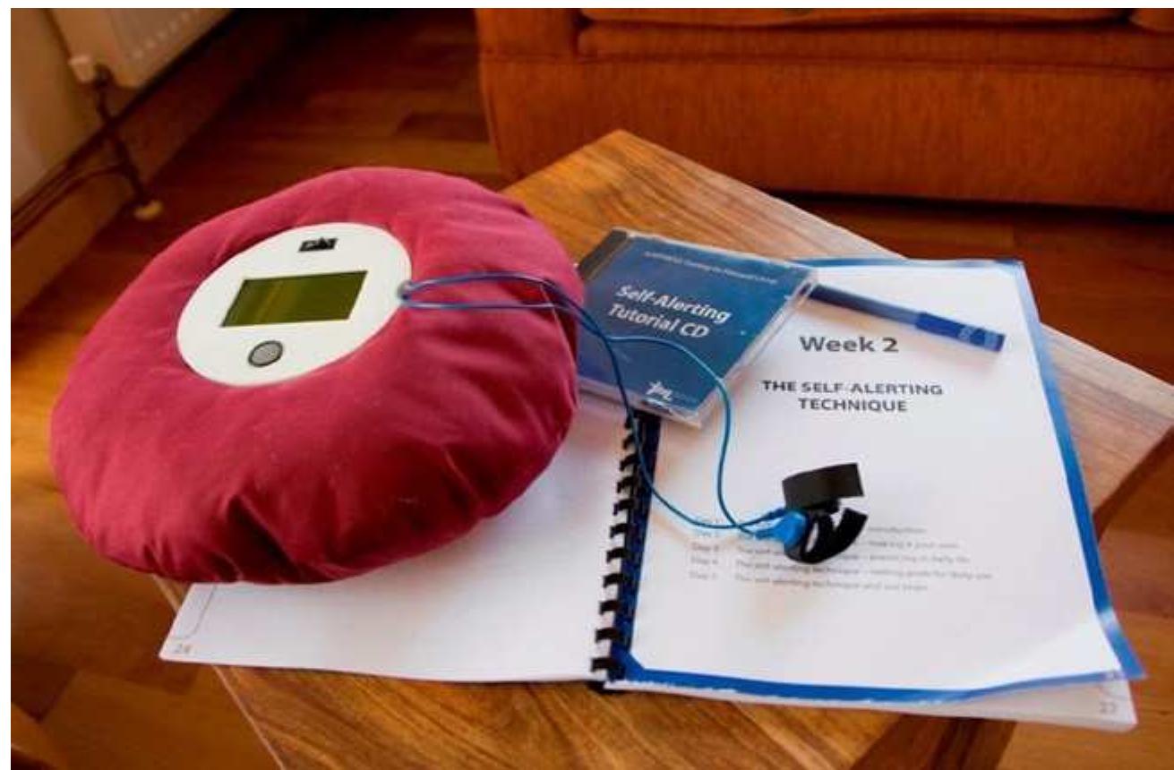 ワンピース MURRAL \