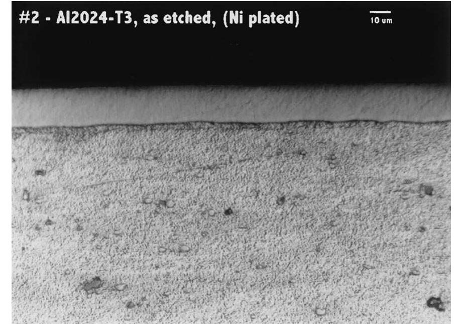 Scanning electron micrograph showing cross-section of the