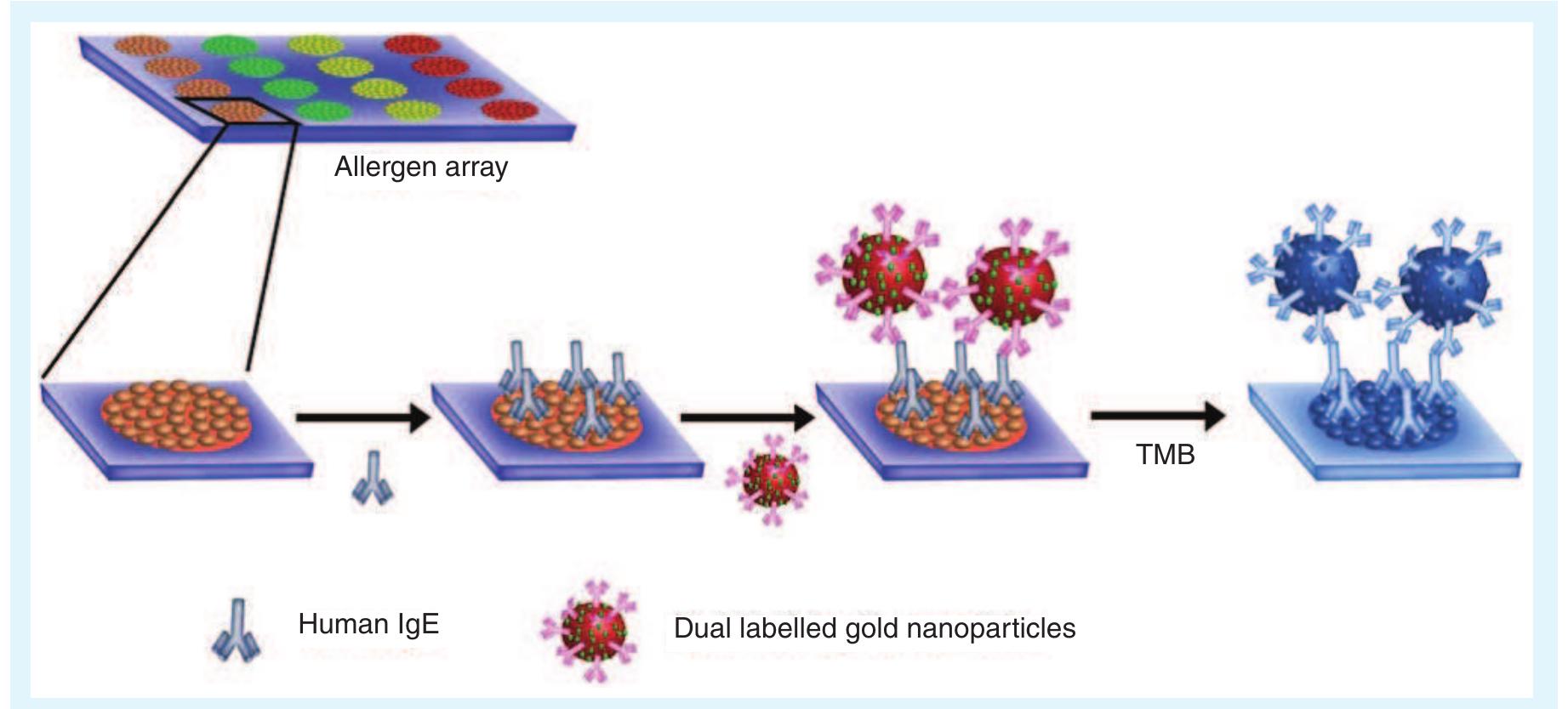 Paper-based lateral flow allergen microarrays. the blood
