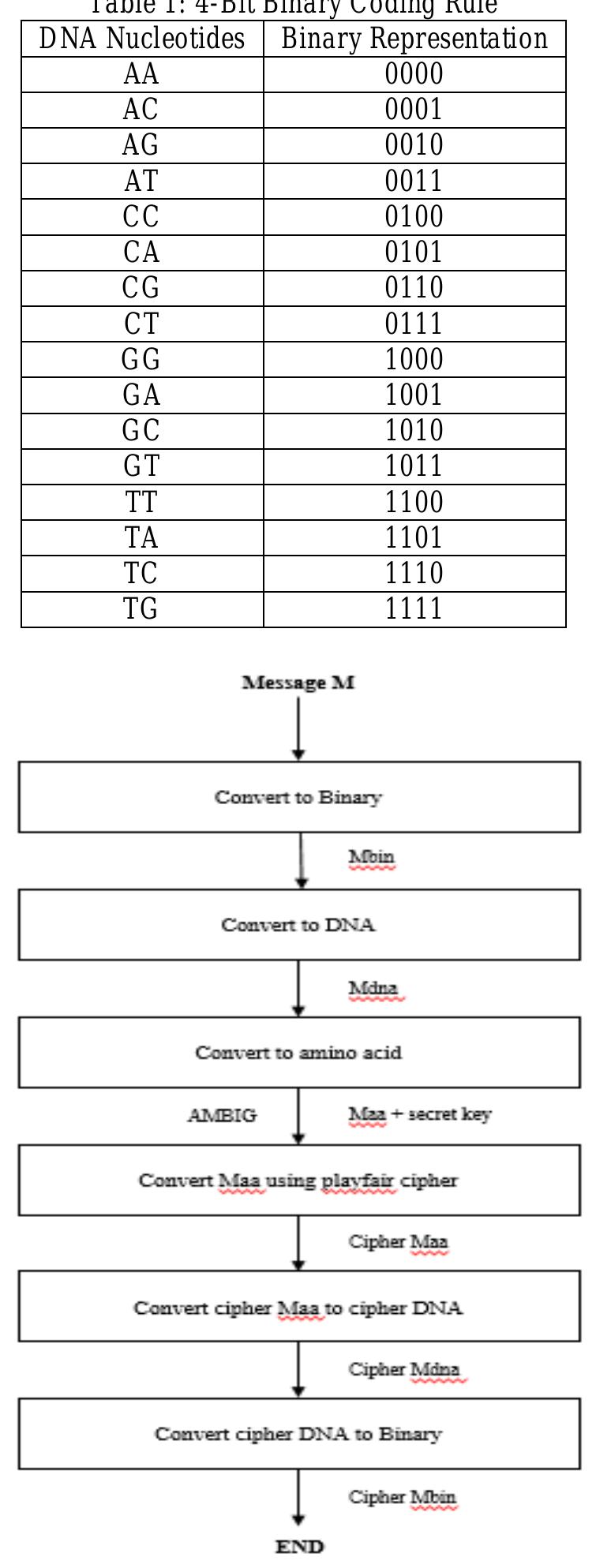 (PDF) DNA Based Cryptography and Steganography