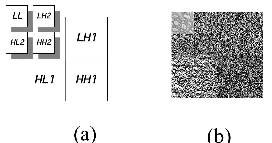 Figure 14 - from The Journal on Information Technology in