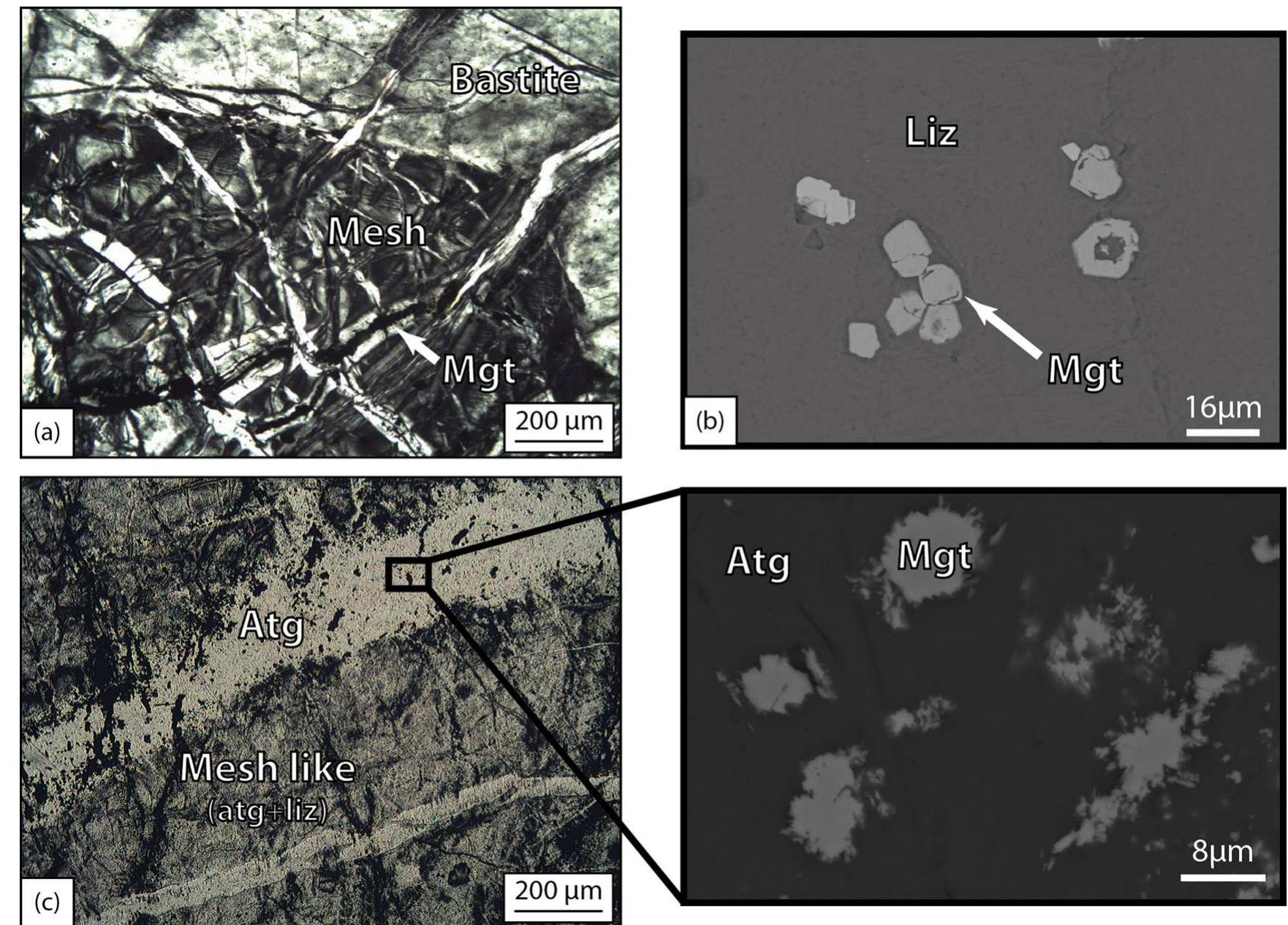 Fig. 2. (a) Photomicrograph in crossed polarized light showing typical mesh and bastite textures. The mesh rims are associated with a fine string of magnetite. (b) SEM photomicrograph in back scattered electron (BSE) of magnetite grains associated with mesh texture. (c) Photomicrograph in plane polarized light (left photo) and BSE (right photo) of a serpentinite from the Montgenévre ophiolite. The mesh like texture is composed of lizardite (Liz) and antigorite (Atg) intergrown on a micrometer scale. A late antigorite vein crosses the mesh texture. The magnetite grains associated with both textures display indented boundaries (right photo). 