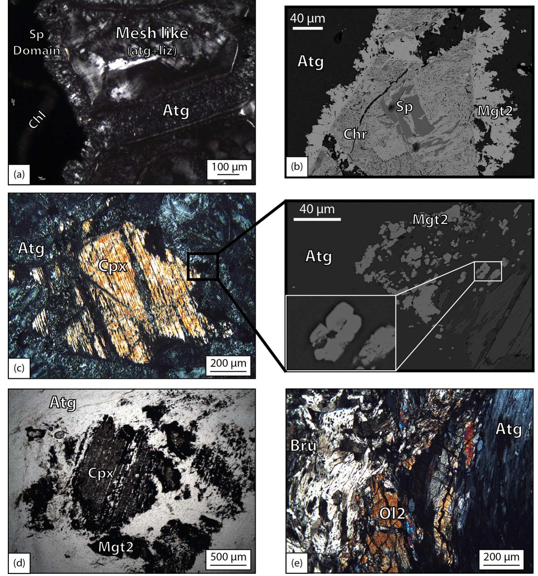 Fig. 3. (a) Photomicrograph in crossed polarized light of serpentinite from Monte Maggiore. Mesh rims are recrystallized into thin lamellae of antigorite. The mesh core i: composed of lizardite and antigorite associated at nano-scale (Mesh-like texture). (b) SEM microphotography in BSE of a spinel domain from Monte Maggiore serpentinite. It contact with antigorite, the primary spinel (Sp) displays a double corona composed of chromite (Chr) and magnetite (Mgt2). (c) Photomicrograph in crossed polarized ligh (left photo) and in BSE (right photo) of a serpentinite from Monte Maggiore. The clinopyroxene relict is surrounded by an antigorite and magnetite corona. The magnetit associated with the antigorite corona is sub-euhedral (Mgt2, right photos). (d) Photomicrograph in plane polarized light of a clinopyroxene relict partly recrystallized int antigorite and secondary magnetite. In the left corners of the photo, the olivine domain is composed of antigorite without magnetite. (e) Photomicrograph in crossed polarizec light of secondary olivine (O12) formed at the expense of brucite (Bru) and antigorite from a Monviso serpentinite. 